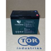 Аккумулятор для тележек WPT15-2 12V/65Ah гелевый (Gel battery)